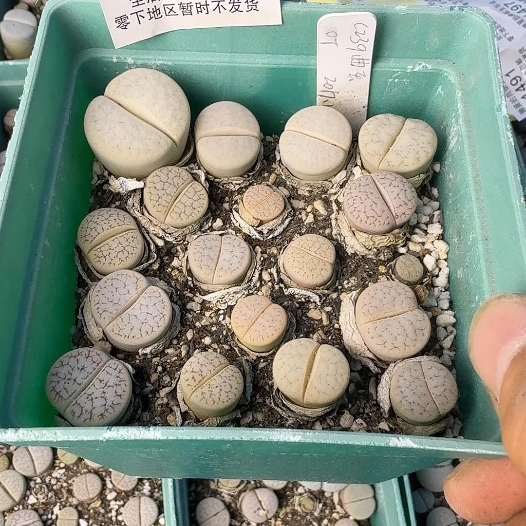 1488 哈哈哈哈哈哈哈