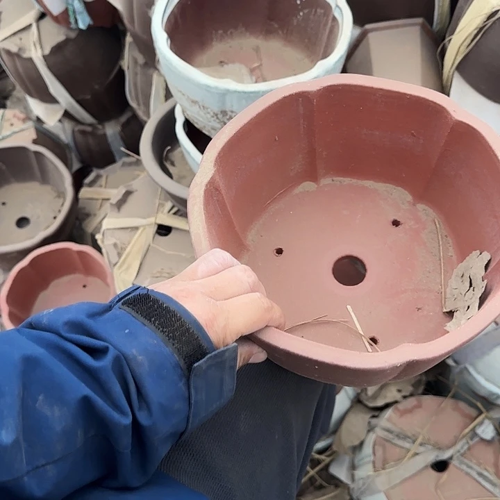 一天只喝一点奶茶一次药就是这么回锅炖啊哈