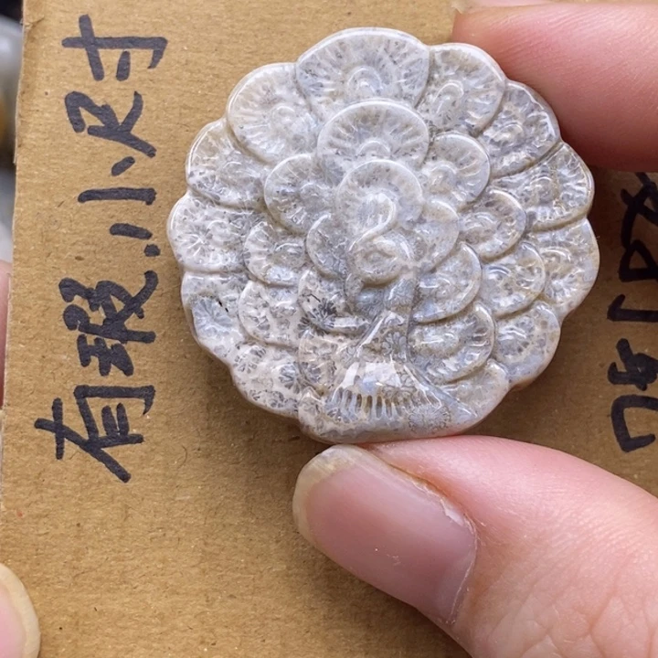 硅化珊瑚（珊瑚玉）未镶嵌颈饰