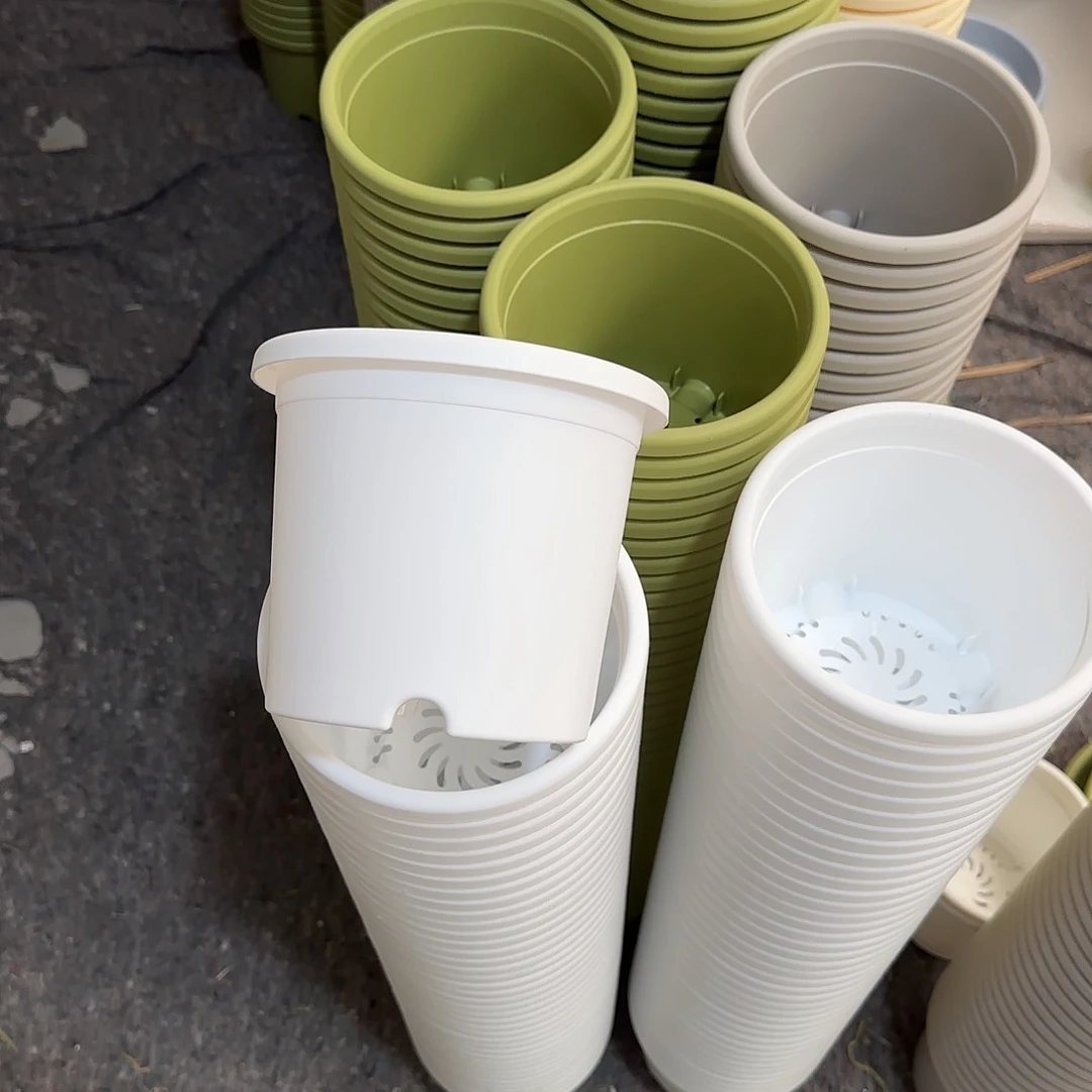 微瑕2号10个带托，白色