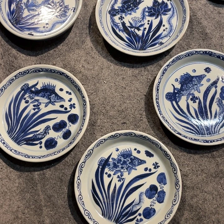 会***鱼1111111111111122222