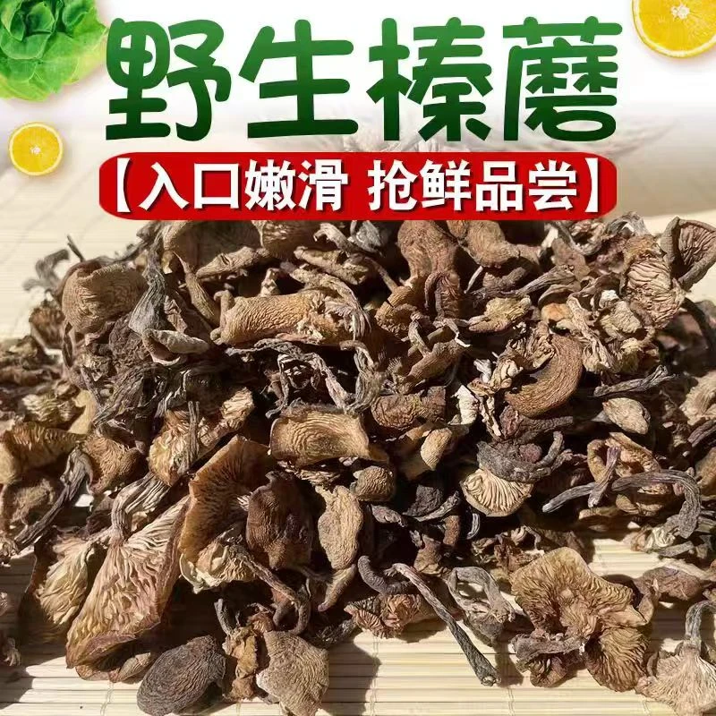 2025年东北头茬野生榛蘑 新货支持试吃 东北小鸡炖蘑菇 大玲子