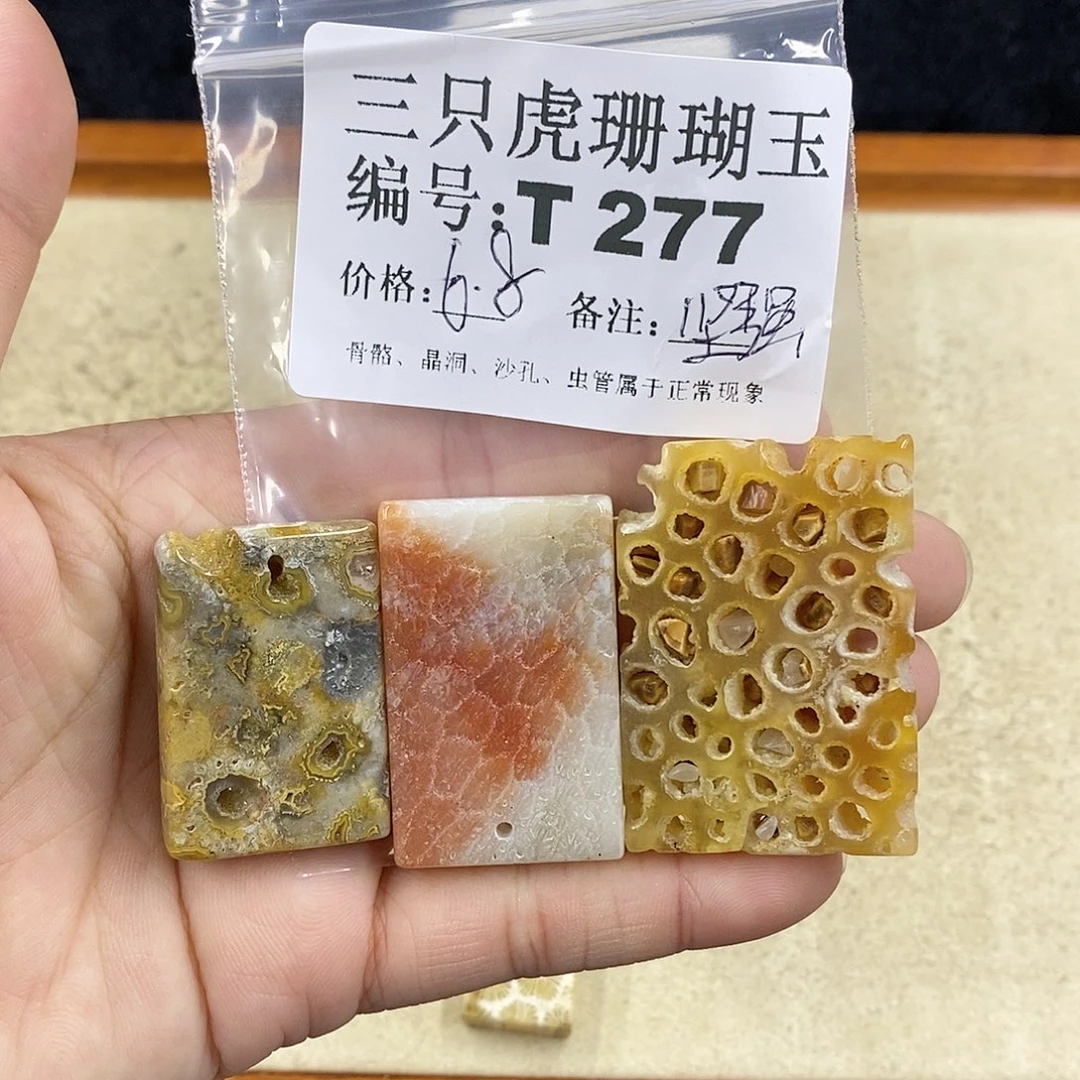 硅化珊瑚（珊瑚玉）1未镶嵌坚****脑