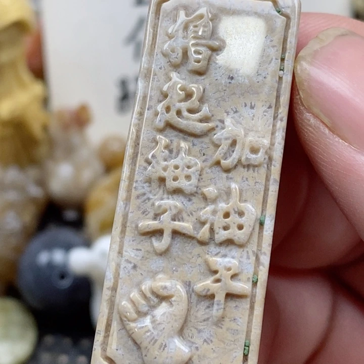 颈饰未镶嵌硅化珊瑚（珊瑚玉）