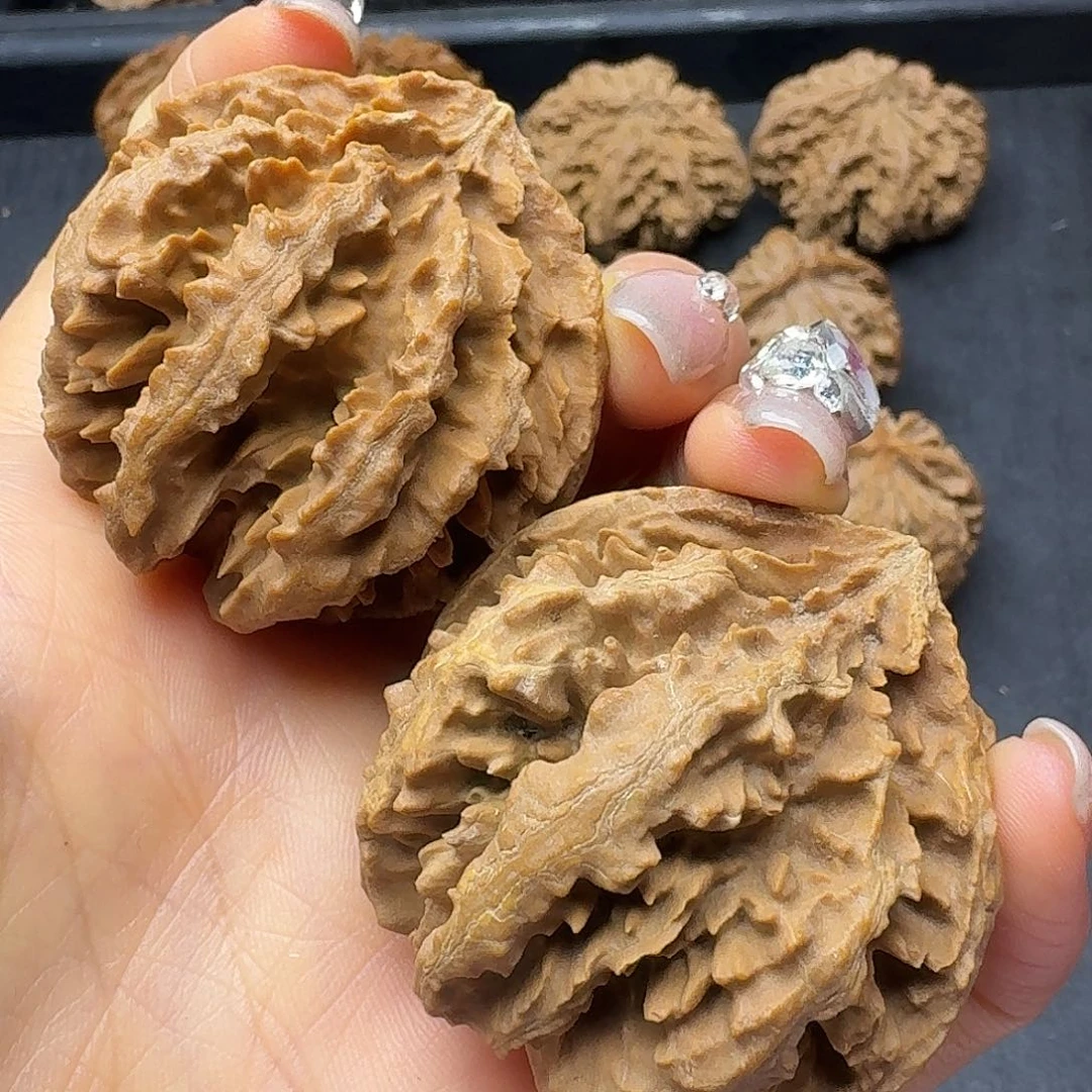 桃木突突突突突突突突