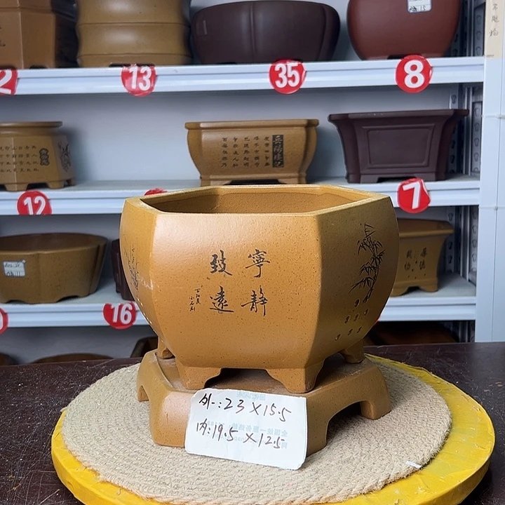 花盆紫砂你在一起