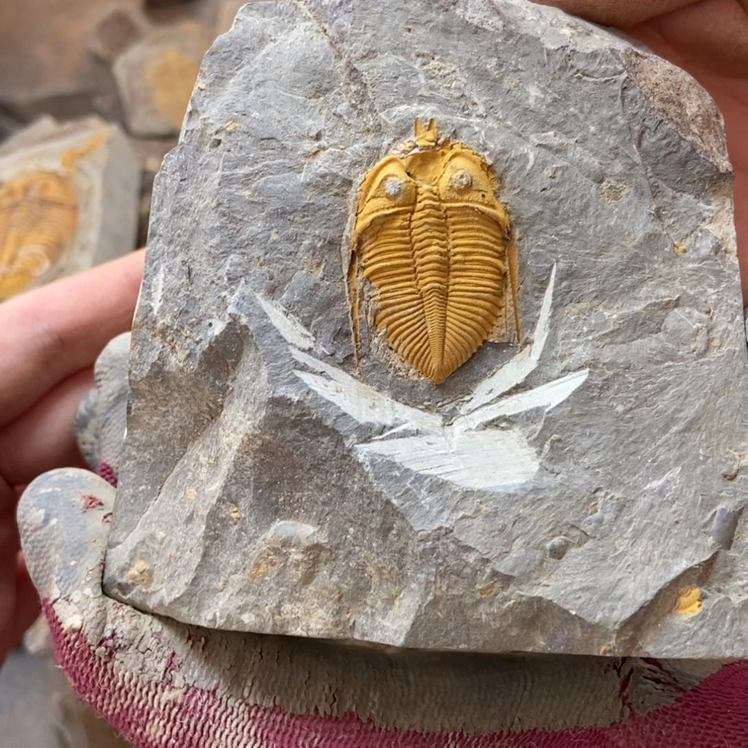 Z***H石材1111111111111