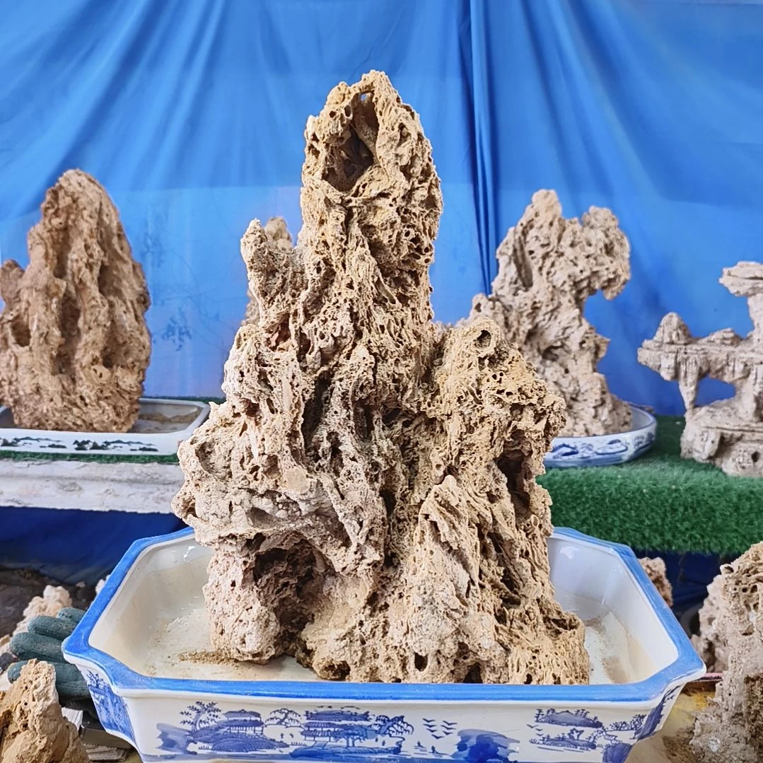 【闪购商品】红陶杜0207-5杜