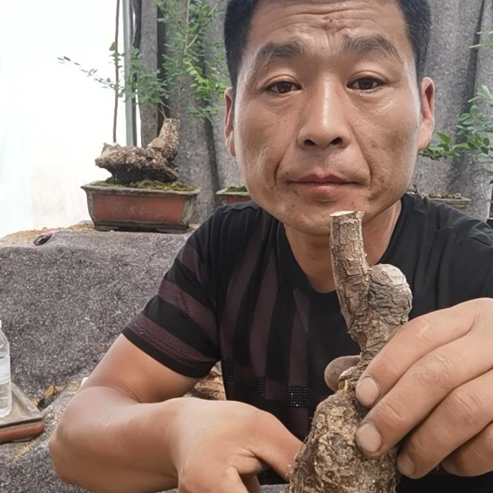 无花朵的好看点直播呢？。。。。
