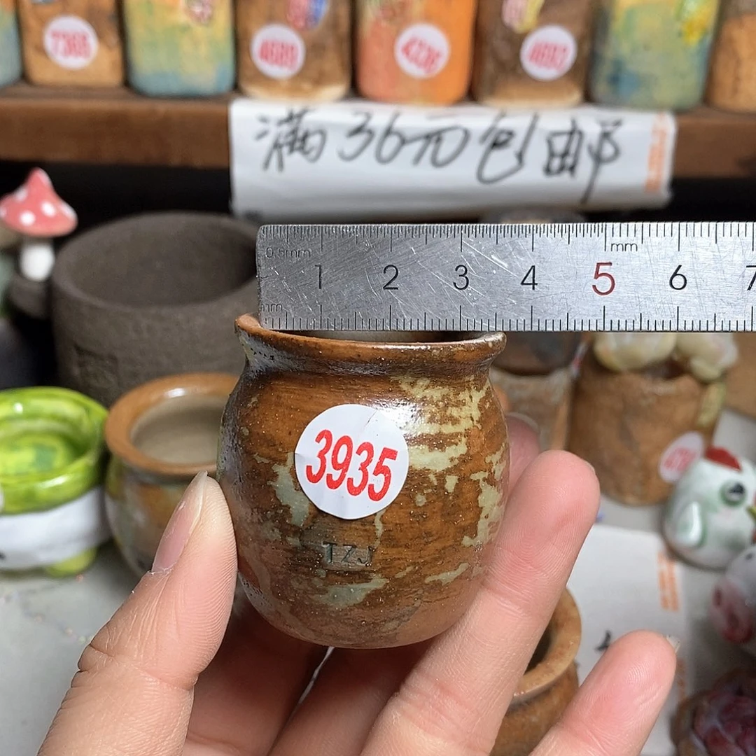 红陶拍5送一个小