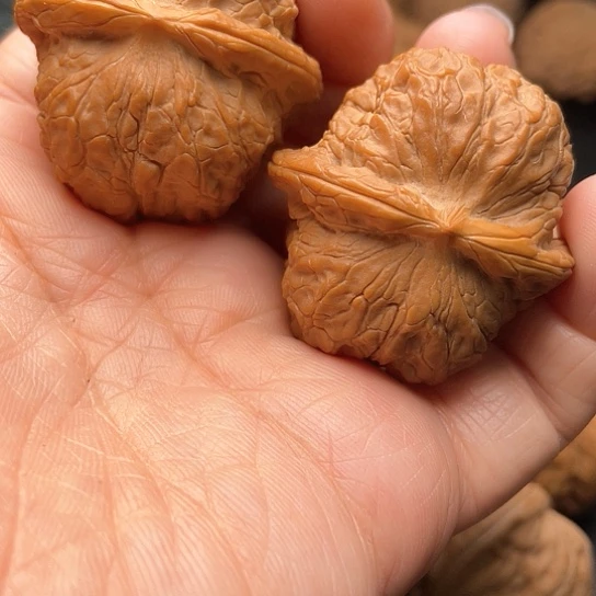 糊*核桃核桃核桃核桃