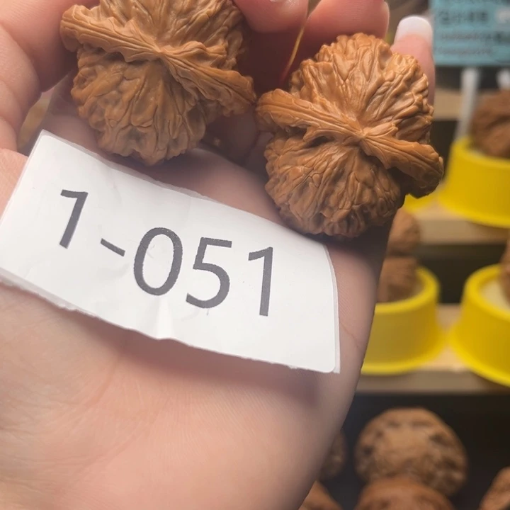 把件文玩核桃41白狮子1051