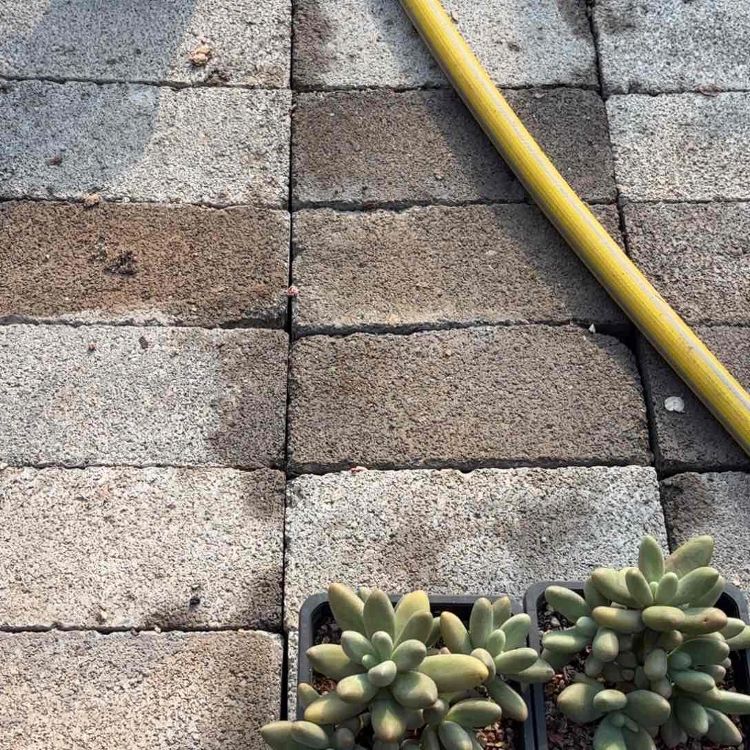 ，**，11111111111邮111费