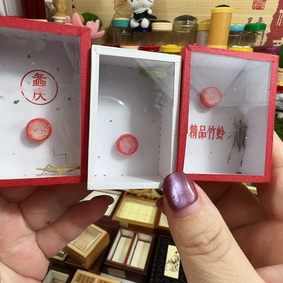 哈哈哈柬埔寨➕紫竹➕青竹