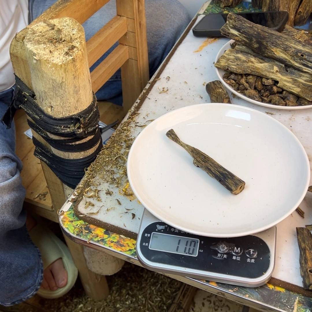 线香奇楠虫漏香11克