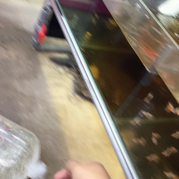改***呦孔雀鱼孔雀鱼5元邮费