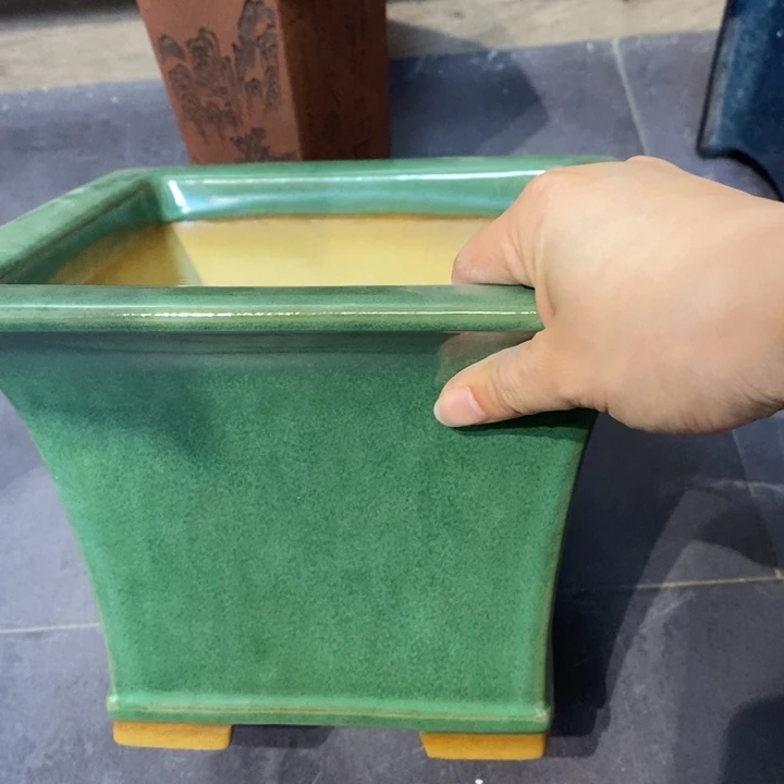 紫砂花盆霜*福利来啦