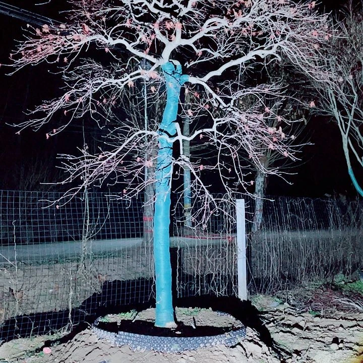 【闪购商品】完全开放