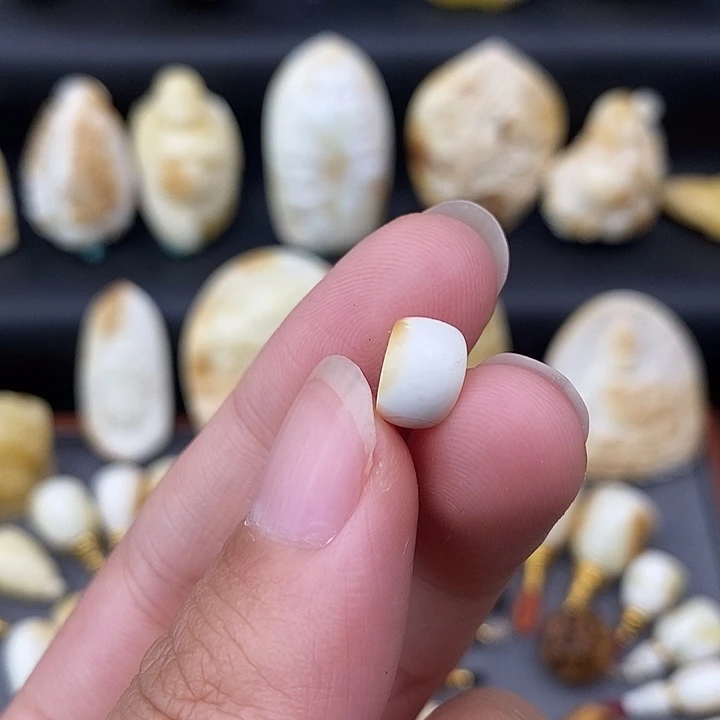 裸石琥珀未镶嵌9瓷白马蹄b227