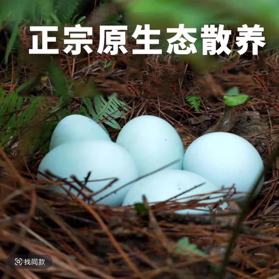 老人小孩营养好湖南湘西农家土鸡蛋