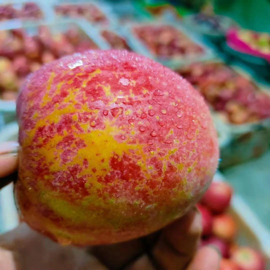 丑苹果云南高原冰糖心丑苹果脆甜多汁现摘现发