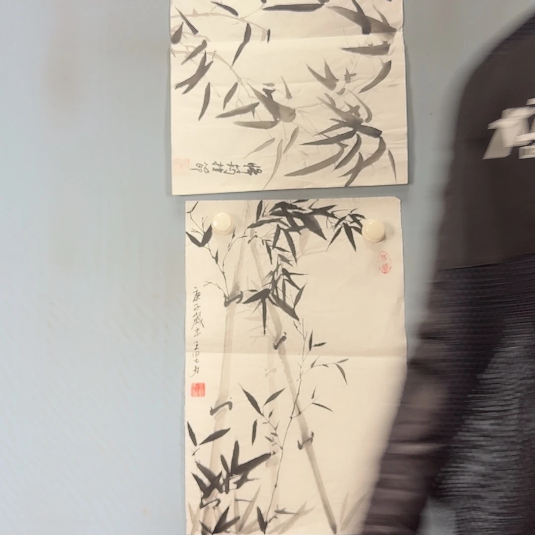 国画26 牡丹一如你初来乍