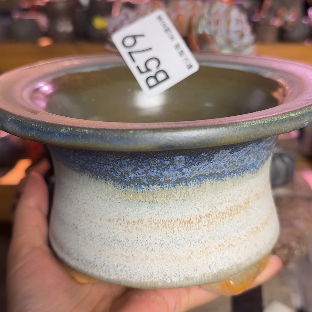 *****重庆小燕子欢迎大家579