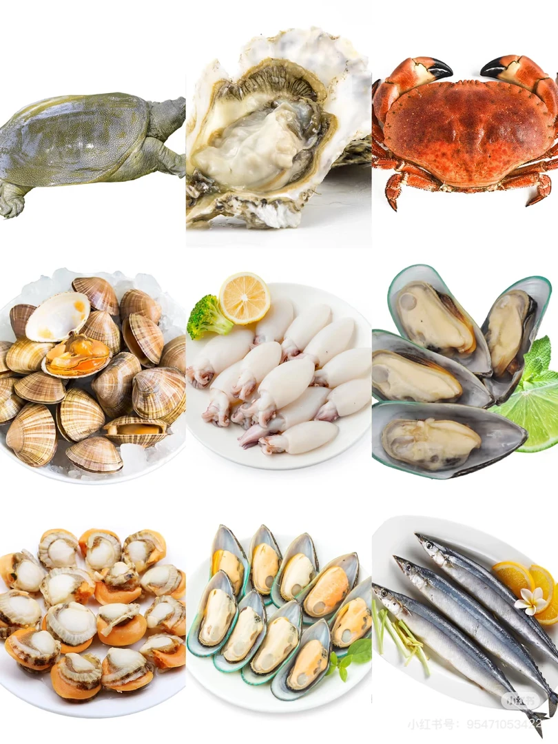 海鲜链接100g-3000g以上