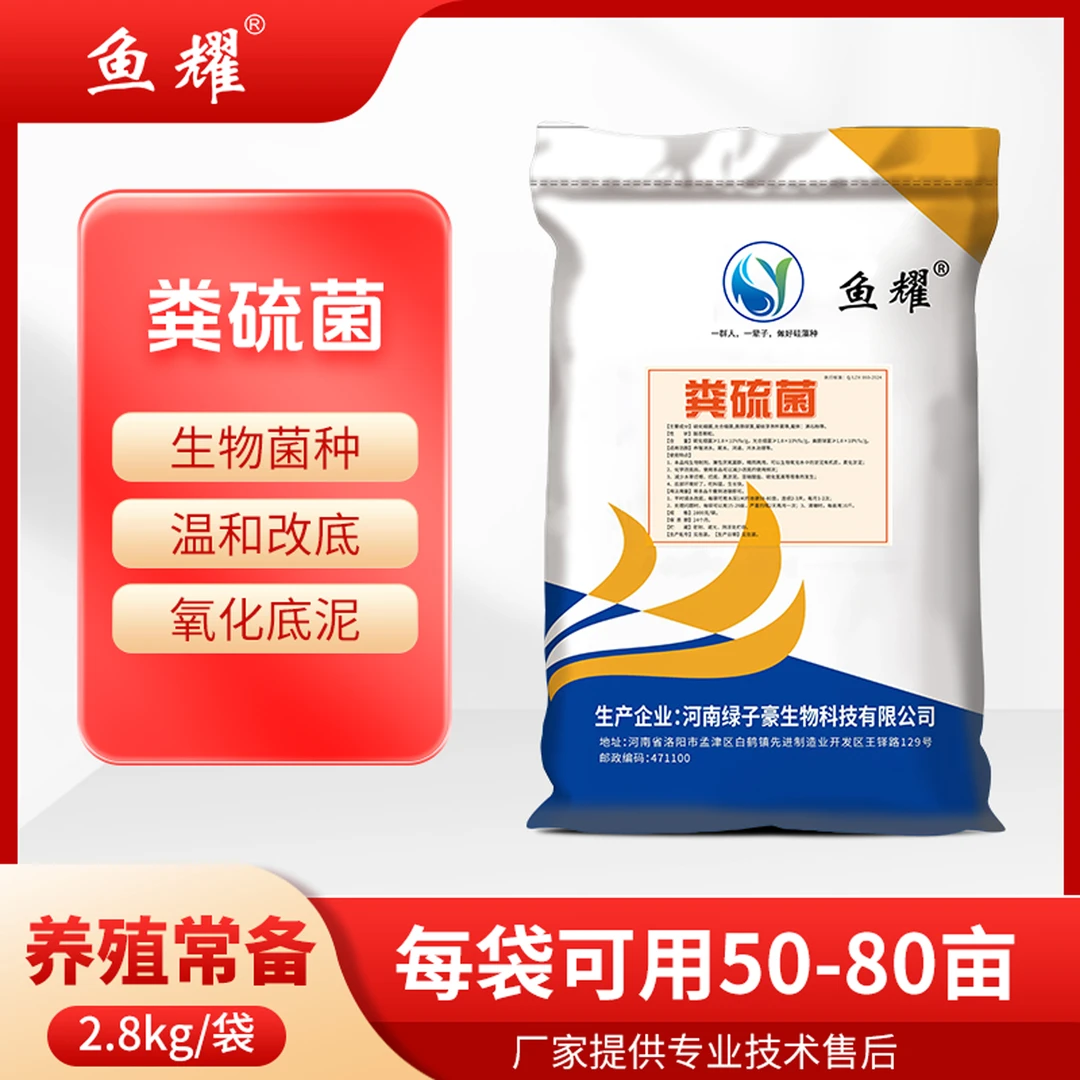 鱼耀粪硫净粪硫菌颗粒改底除黑臭净化有机质硫化氢降氨氮亚盐水产