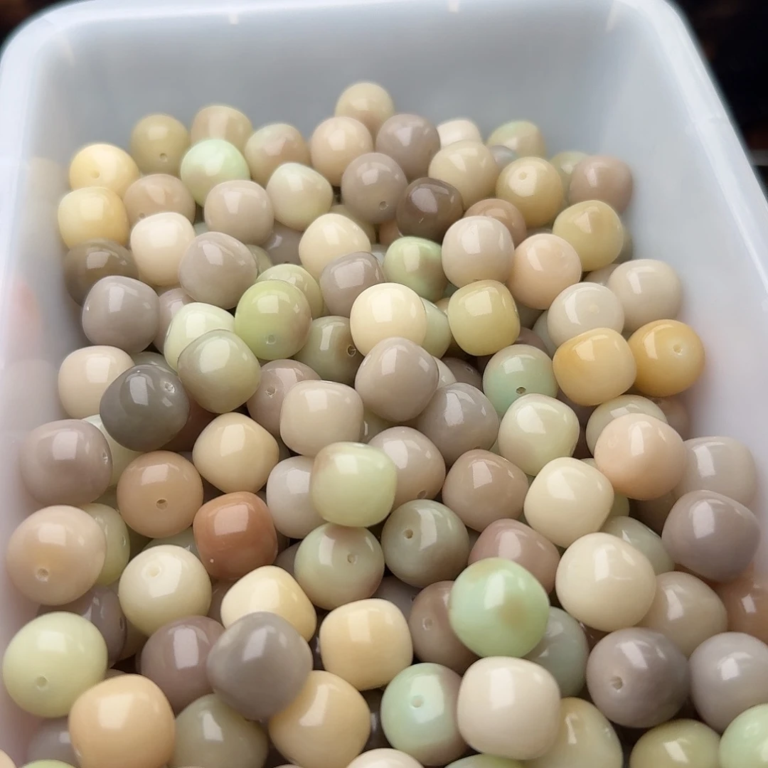 吊坠菩提根/象牙果50颗青玉案14桶