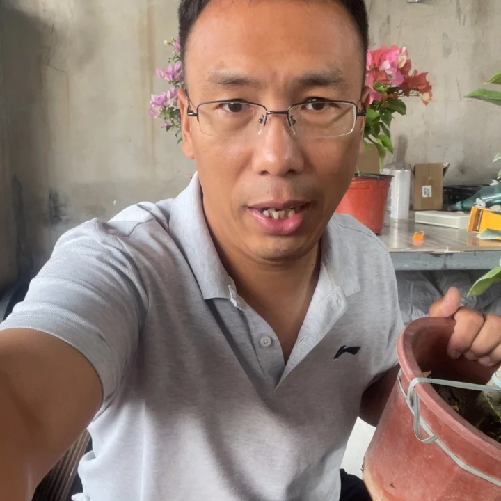 完全开放加州黄有很多花蕾