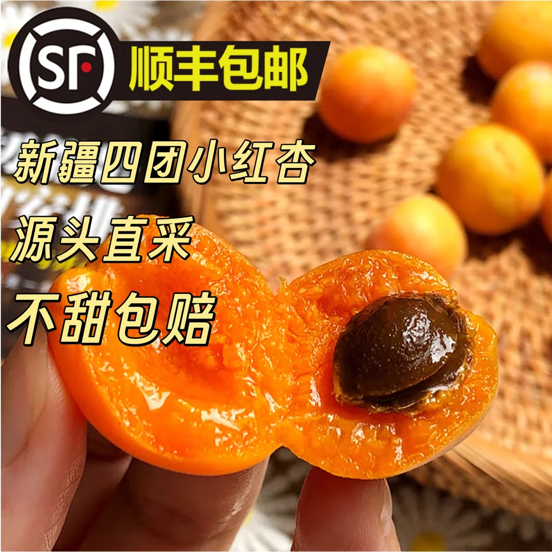 【顺丰包邮】新疆四团小红杏3斤新鲜现摘软糯甜杏子自然熟吊干杏
