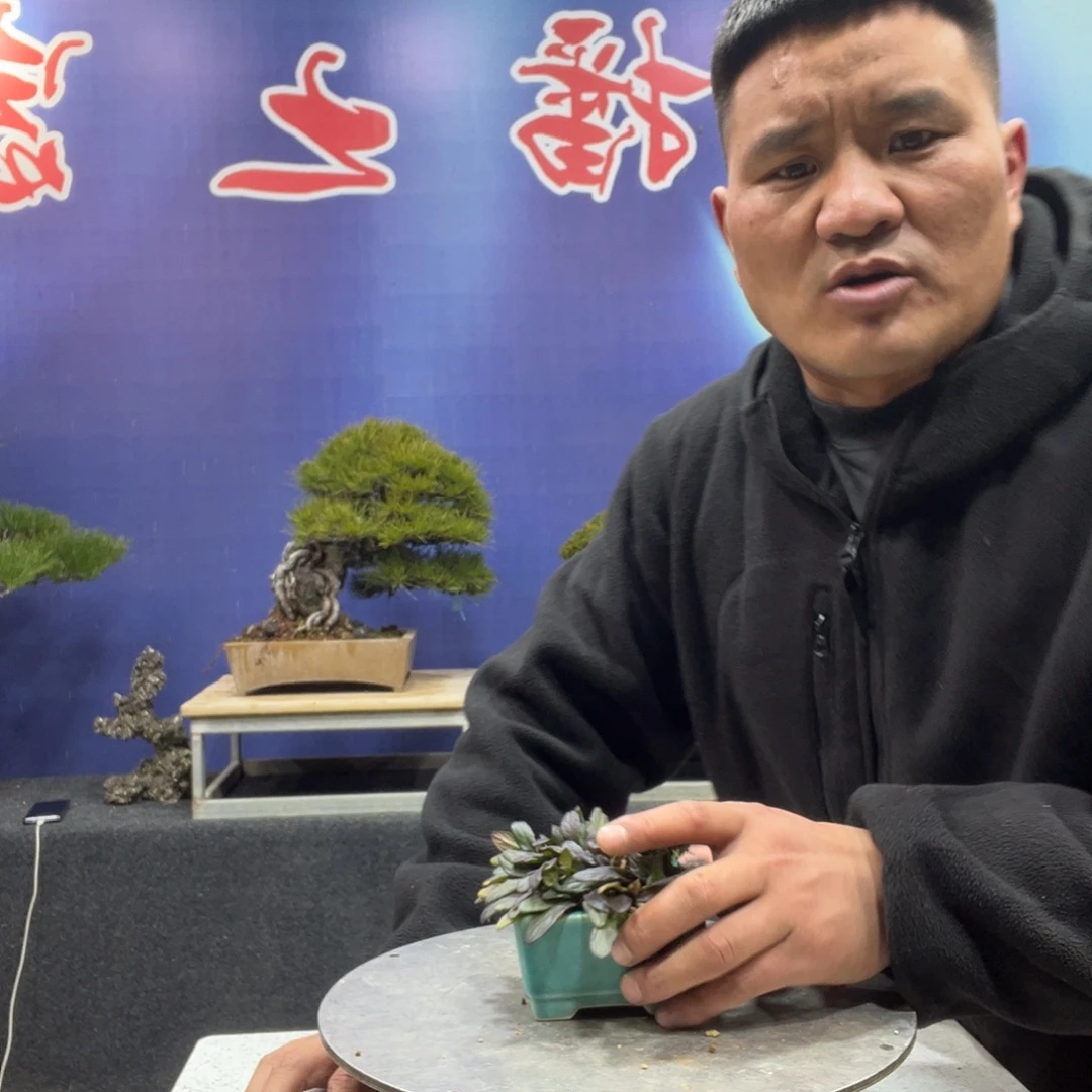 无花朵888888788888