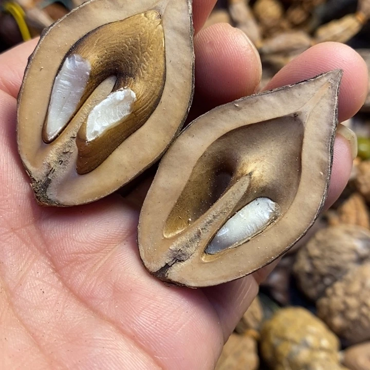 吊坠文玩核桃东北东北特产8