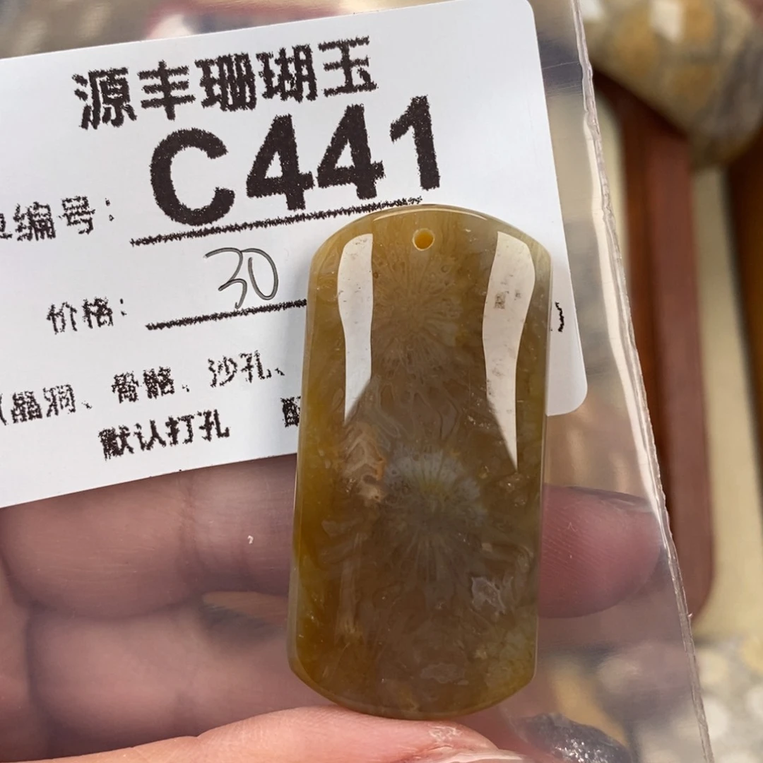 硅化玉颈饰未镶嵌突*