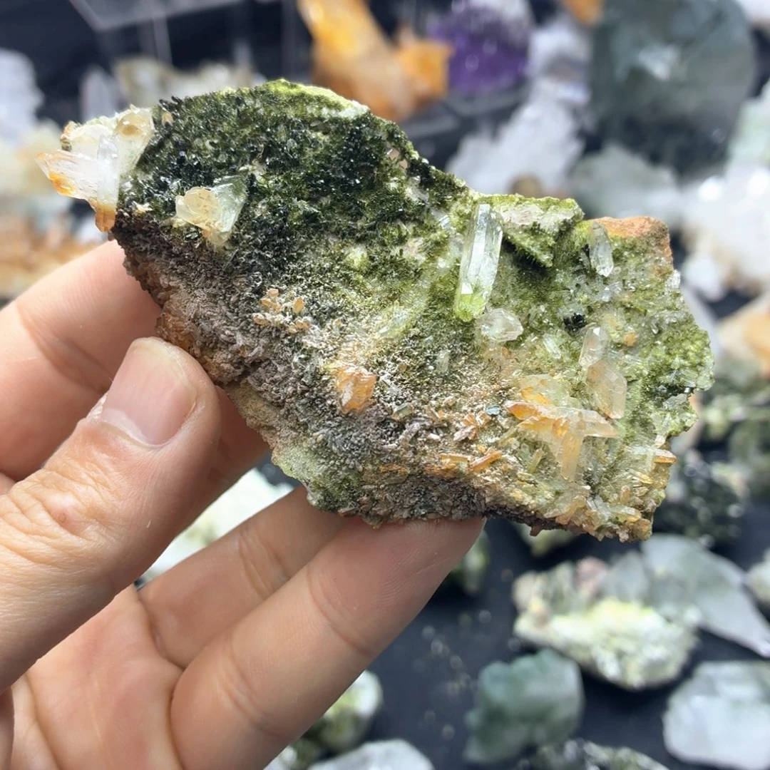 石材热带缤纷草地花园