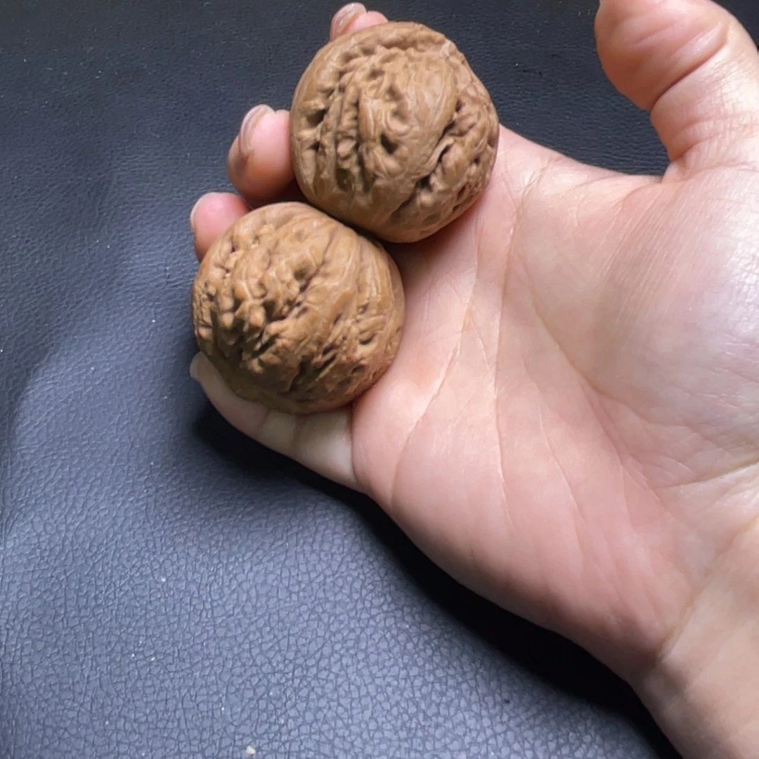 灰***发木质霸王龙111111444