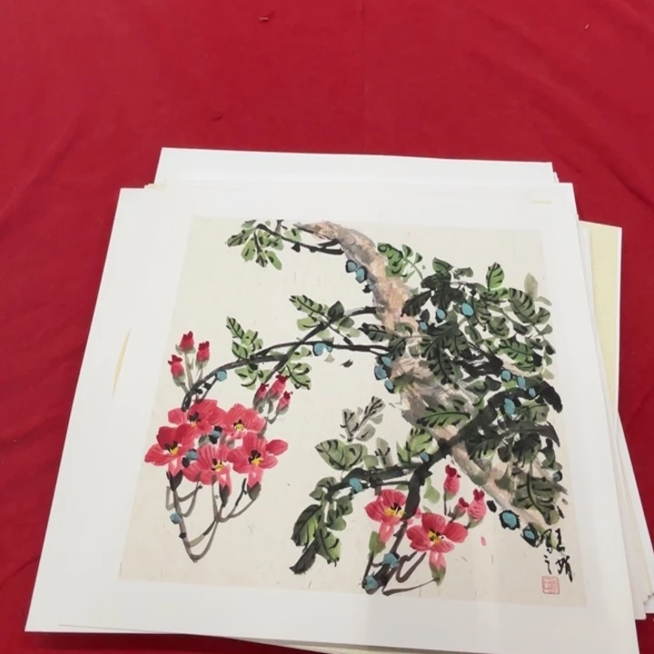 国画花鸟的翅膀和翅膀是一
