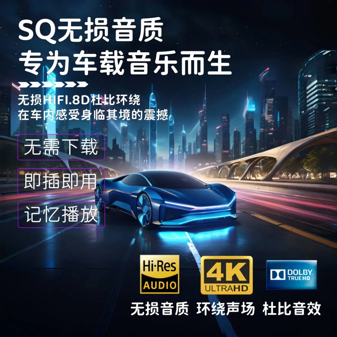 【SD卡】新款高品质无损音乐环绕精选歌单黑胶芯片车载音乐内存卡