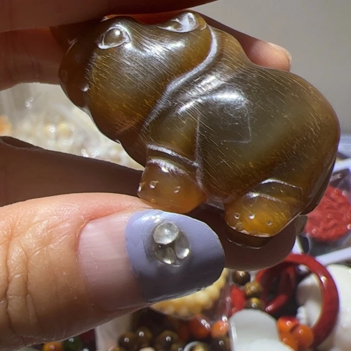 大果紫檀（缅甸花梨）射白小牛