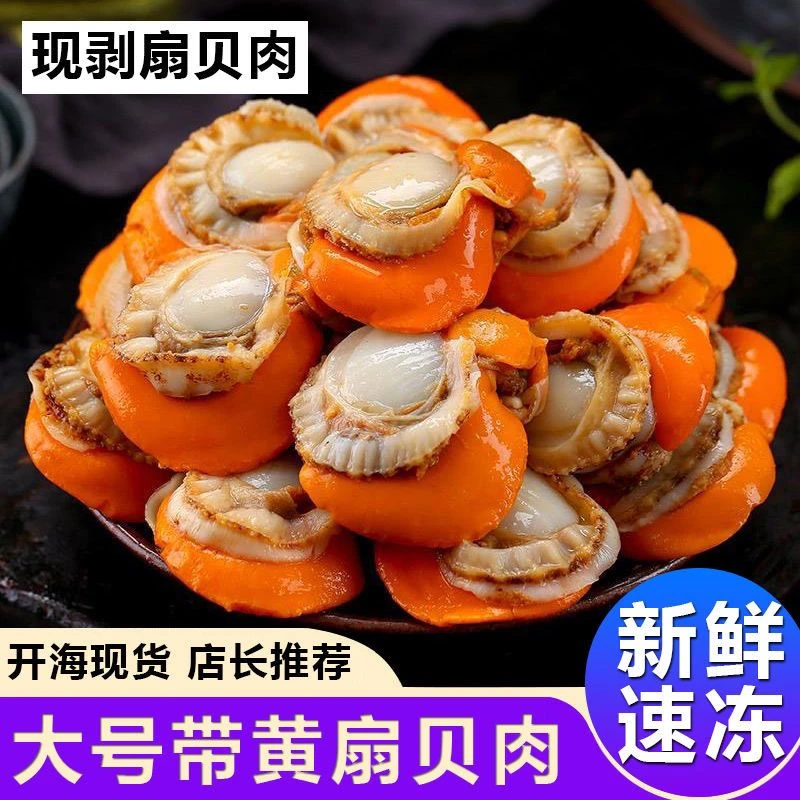 【5斤装顺丰包邮】带膏带黄新鲜扇贝肉美味海鲜包邮到家z