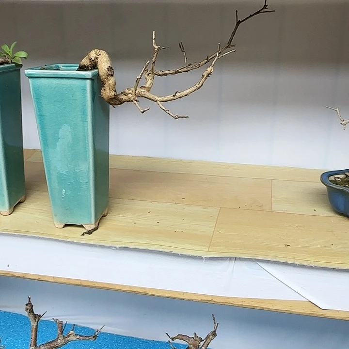 无铅玻璃修*宫灯石榴带盆包邮