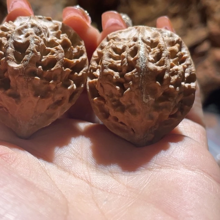 吊坠桃核九哥楸核17