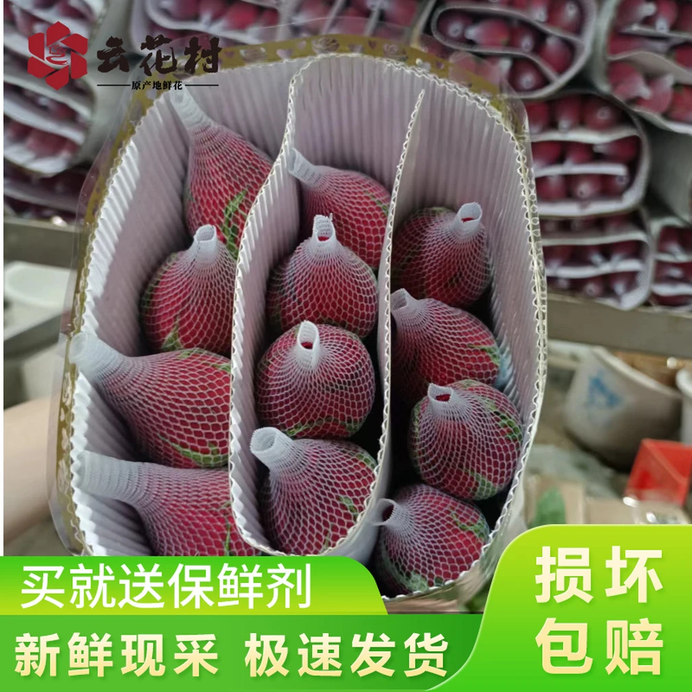 【热卖推荐】【卡罗拉红玫瑰20支】带网套易开炸 任意满2件发顺丰京东