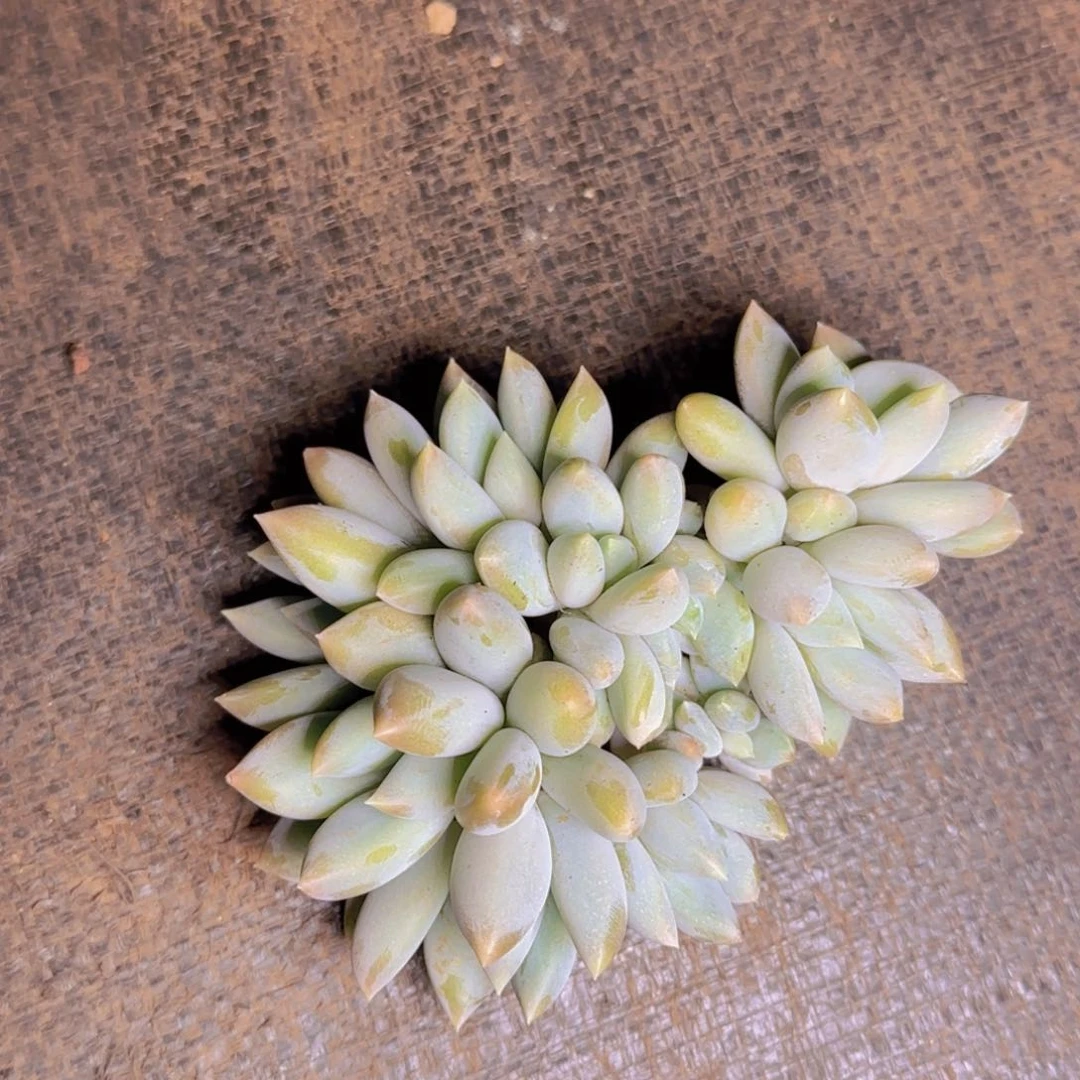 请注意倒车寄养11111111111