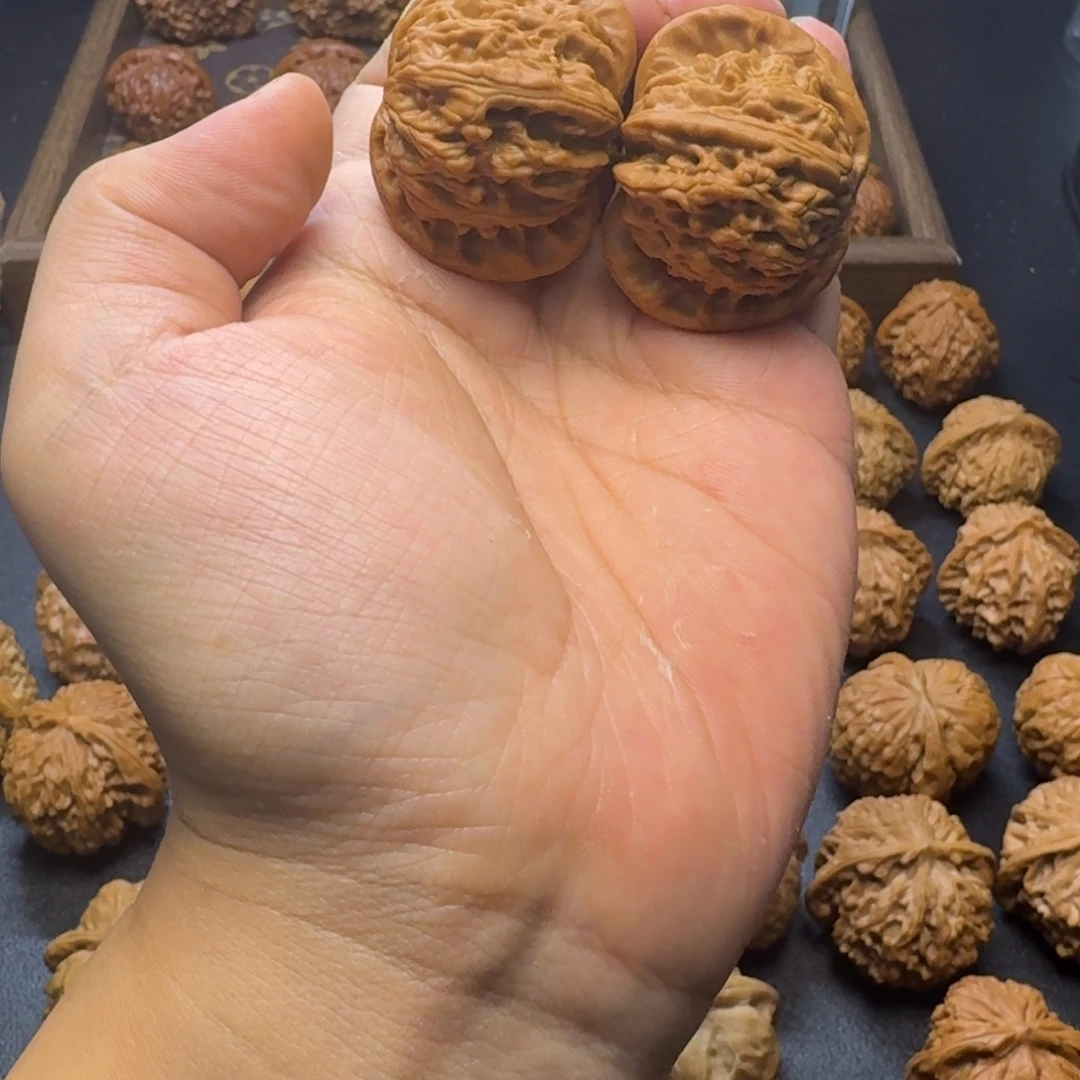 核桃闪电购40打底白狮子