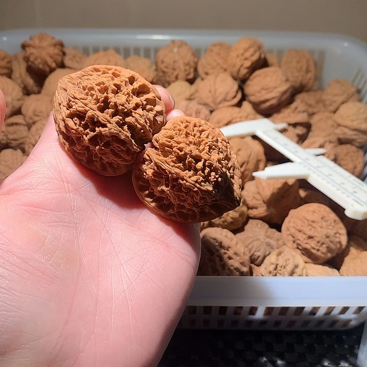 文玩核桃吊坠满天星