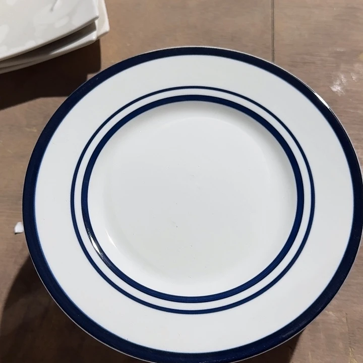 瓷5 个  8 英寸蓝色   平盘