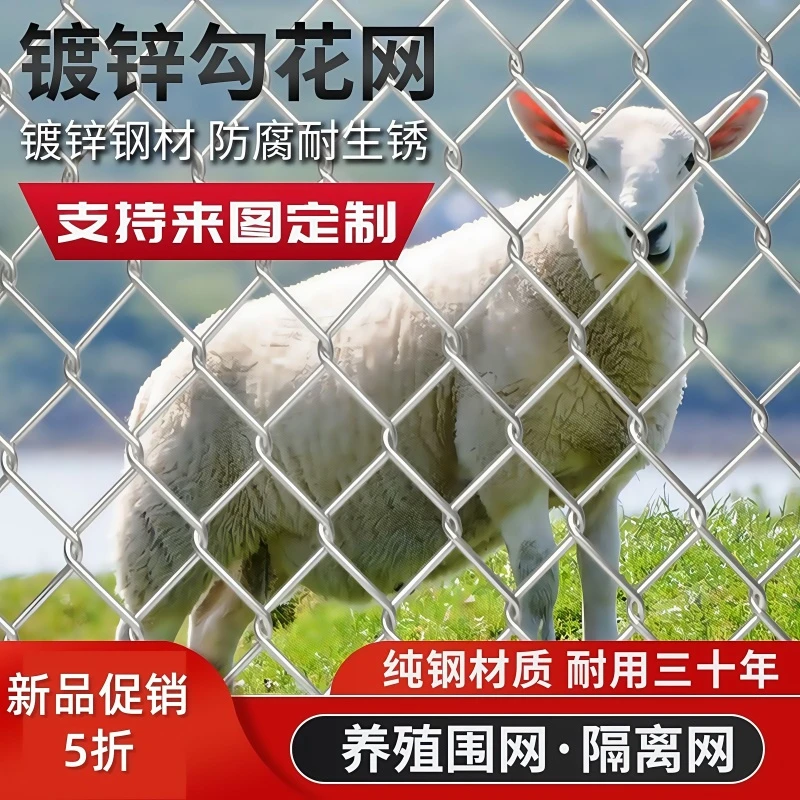 热镀锌钢丝网勾花铁丝网围栏网护栏网圈地果树池塘菱形防护网围网