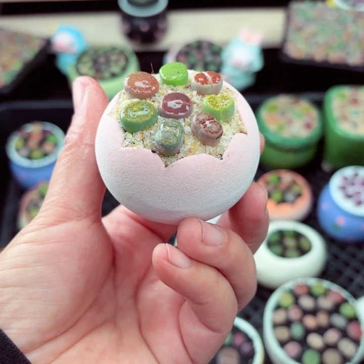 516零下地区记得拍保温箱